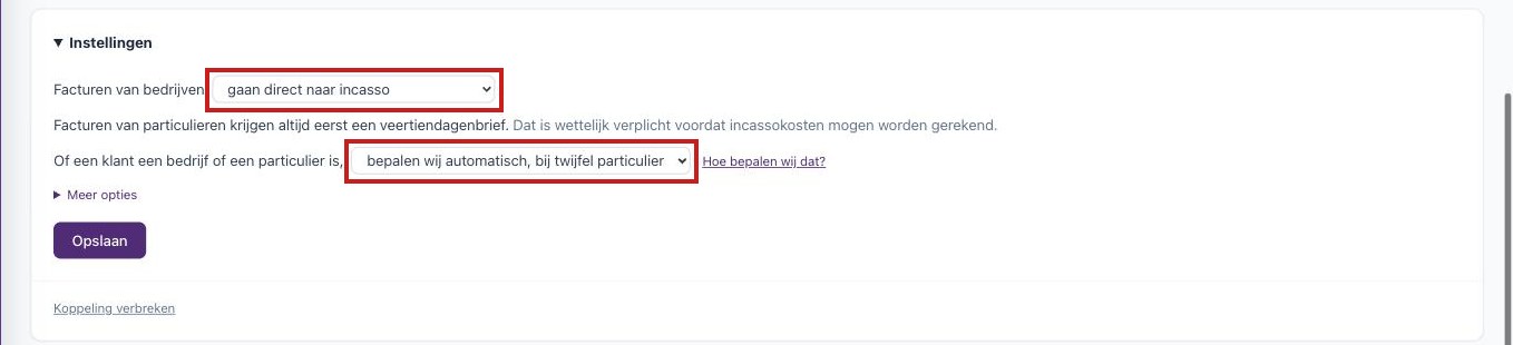 Het onderdeel Instellingen met de keuze voor facturen van bedrijven en de manier waarop bedrijven van particulieren worden onderscheiden